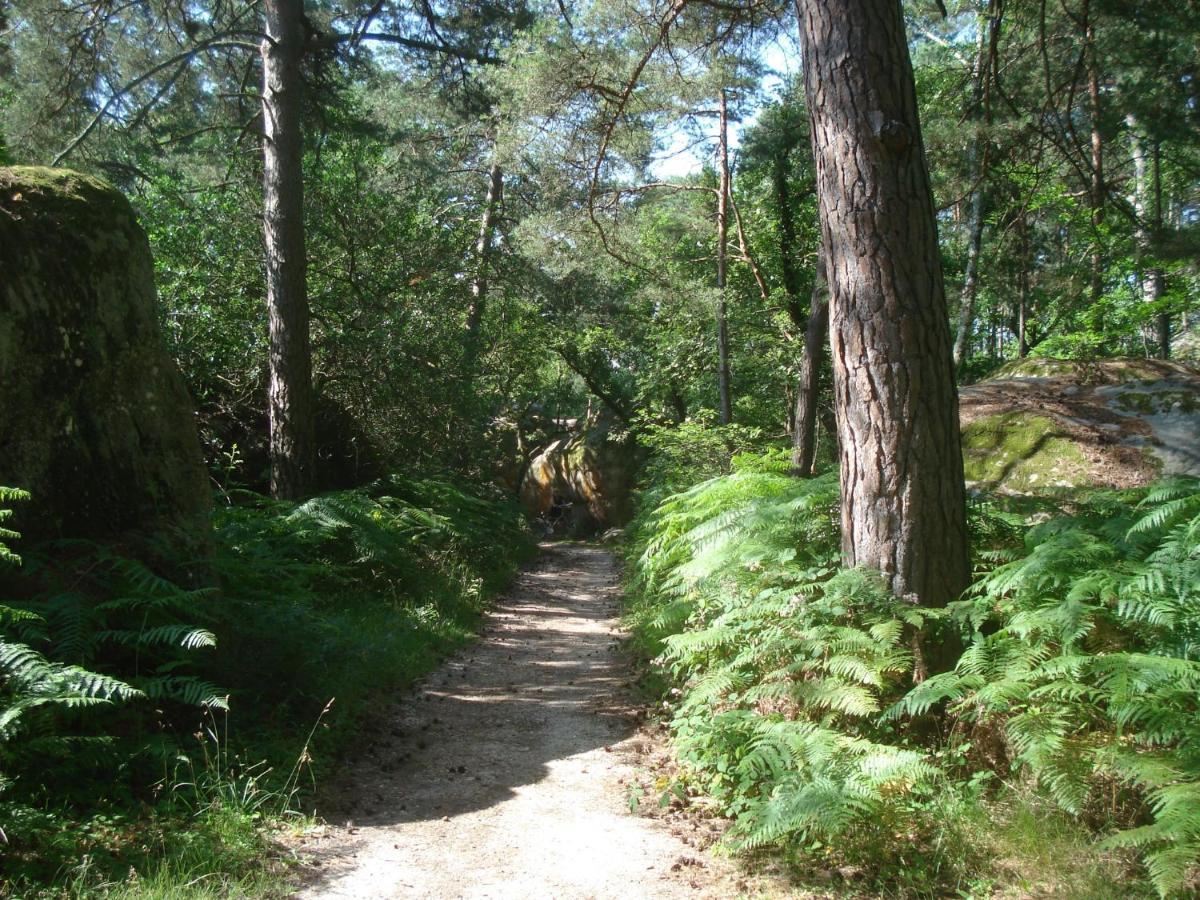 Les Prémices De La Forêt Chailly-en-Biere Exterior foto