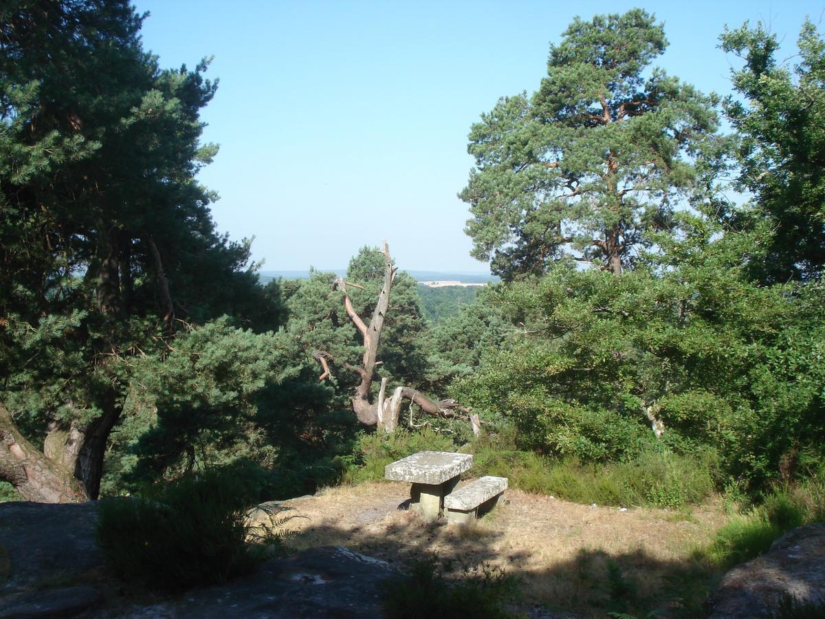 Les Prémices De La Forêt Chailly-en-Biere Exterior foto