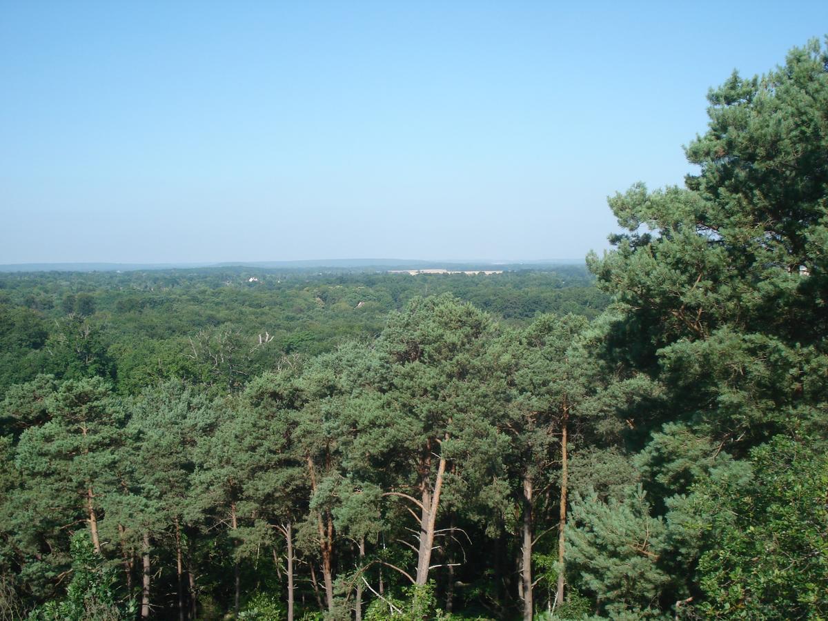 Les Prémices De La Forêt Chailly-en-Biere Exterior foto